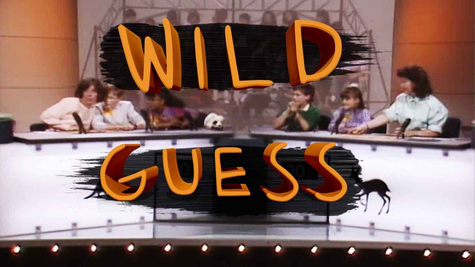 Wild Guess