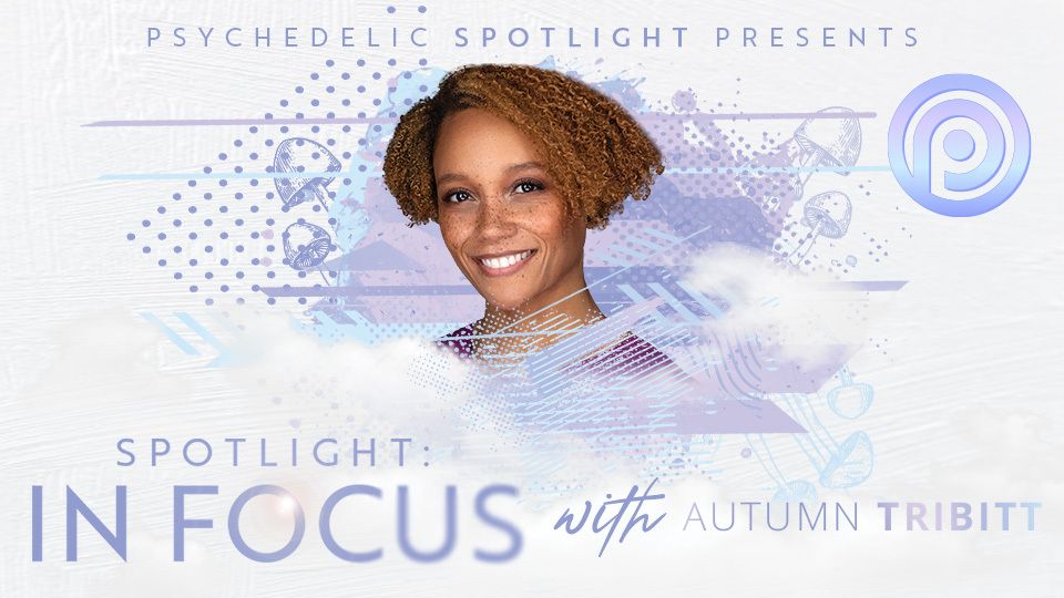 Spotlight in Focus