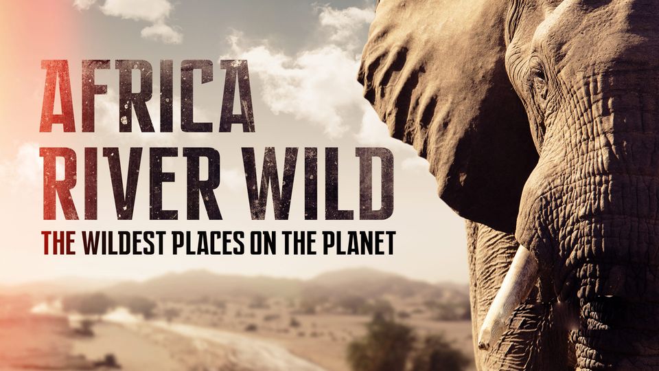 Africa River Wild