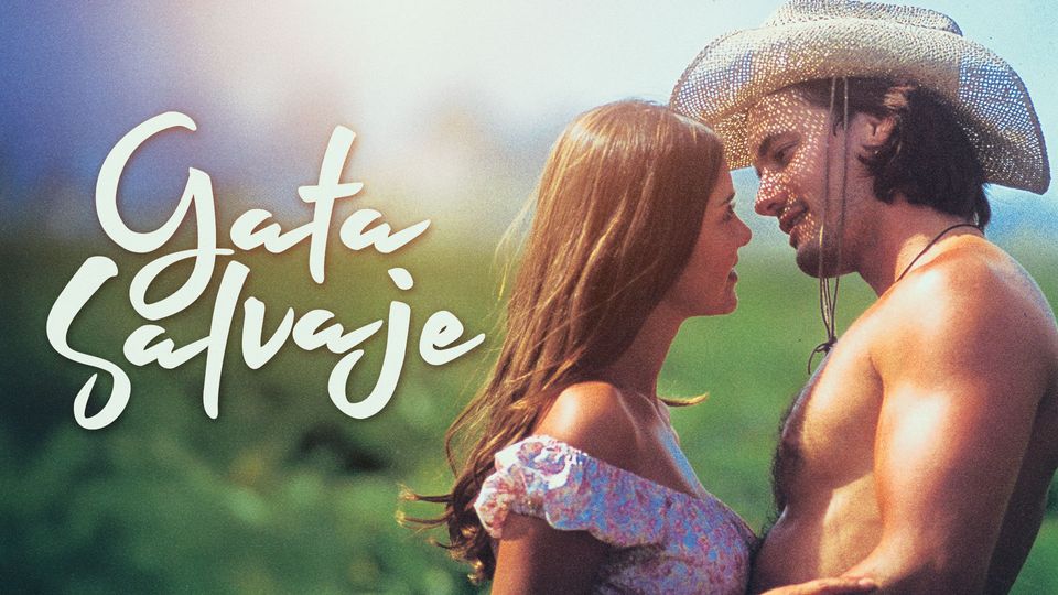 Gata Salvaje