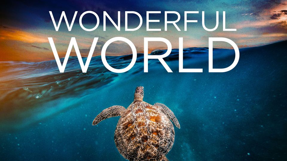 Wonderful World