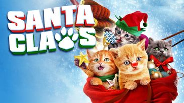 Gatitos al Rescate en Navidad